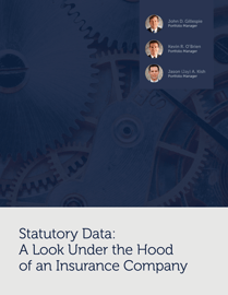 Statutory Data: A Look Under the Hood of an Insurance Company